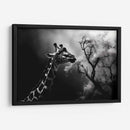 Jirafa Comiendo - Pat G | Cuadro decorativo de Canvas Lab