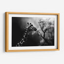 Jirafa Comiendo - Pat G | Cuadro decorativo de Canvas Lab