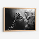 Jirafa Comiendo - Pat G | Cuadro decorativo de Canvas Lab