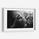 Jirafa Comiendo - Pat G | Cuadro decorativo de Canvas Lab