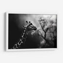 Jirafa Comiendo - Pat G | Cuadro decorativo de Canvas Lab