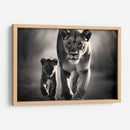 La Leona Y Su Hijo - Pat G | Cuadro decorativo de Canvas Lab