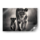 La Leona Y Su Hijo - Pat G | Cuadro decorativo de Canvas Lab