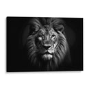 Mirada Del Leon - Pat G | Cuadro decorativo de Canvas Lab