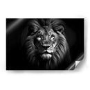 Mirada Del Leon - Pat G | Cuadro decorativo de Canvas Lab