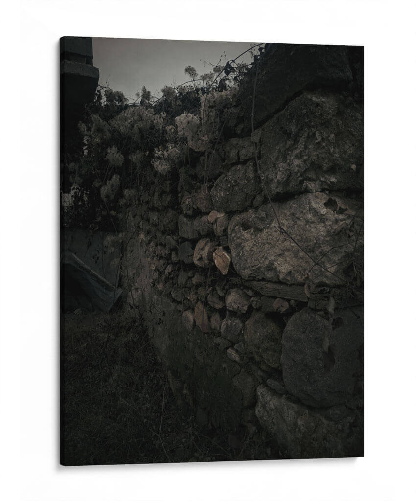 Pared rocosa - Jabin Adiel | Cuadro decorativo de Canvas Lab