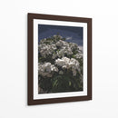 Ramo de flores blancas - Jabin Adiel | Cuadro decorativo de Canvas Lab