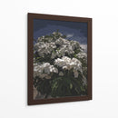 Ramo de flores blancas - Jabin Adiel | Cuadro decorativo de Canvas Lab