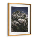 Ramo de flores blancas - Jabin Adiel | Cuadro decorativo de Canvas Lab