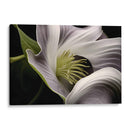 Flor con Tentáculos - Juliana Estrada | Cuadro decorativo de Canvas Lab