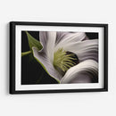 Flor con Tentáculos - Juliana Estrada | Cuadro decorativo de Canvas Lab