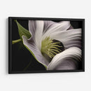 Flor con Tentáculos - Juliana Estrada | Cuadro decorativo de Canvas Lab