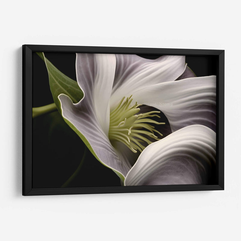 Flor con Tentáculos - Juliana Estrada | Cuadro decorativo de Canvas Lab