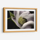 Flor con Tentáculos - Juliana Estrada | Cuadro decorativo de Canvas Lab