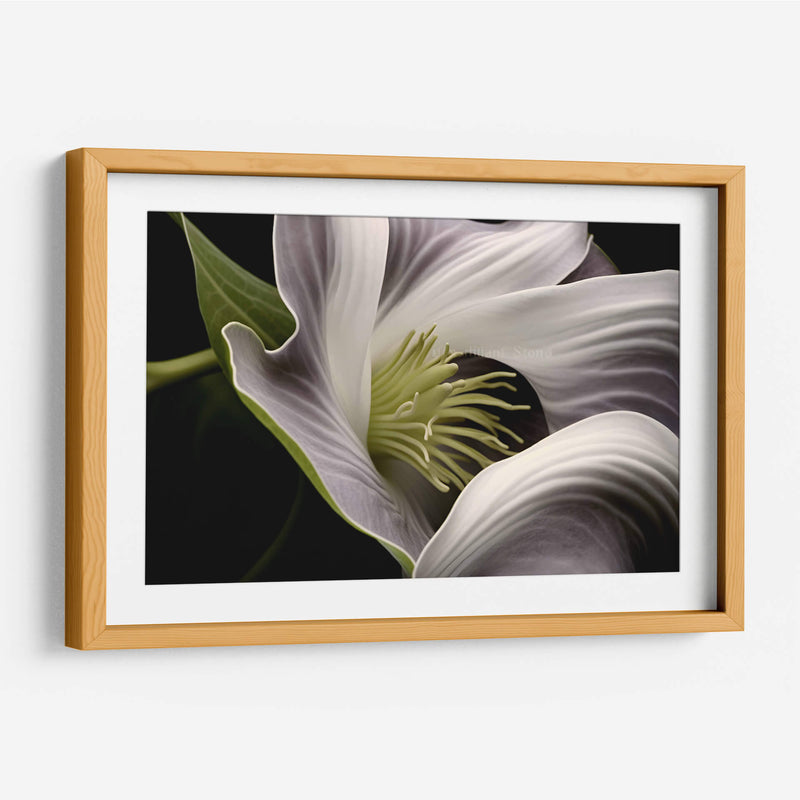 Flor con Tentáculos - Juliana Estrada | Cuadro decorativo de Canvas Lab