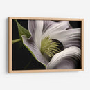 Flor con Tentáculos - Juliana Estrada | Cuadro decorativo de Canvas Lab