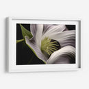 Flor con Tentáculos - Juliana Estrada | Cuadro decorativo de Canvas Lab