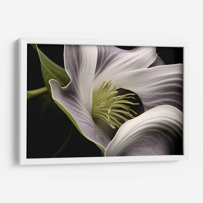 Flor con Tentáculos - Juliana Estrada | Cuadro decorativo de Canvas Lab