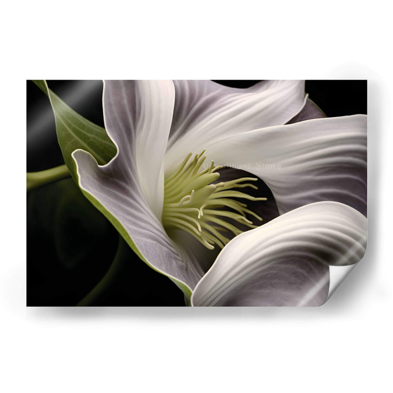 Flor con Tentáculos - Juliana Estrada | Cuadro decorativo de Canvas Lab