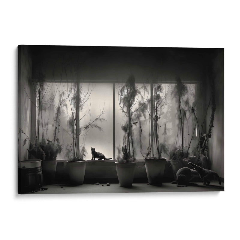 Casa con Gatos - Juliana Estrada | Cuadro decorativo de Canvas Lab