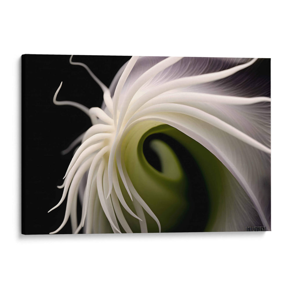 Flor Caracol - Juliana Estrada | Cuadro decorativo de Canvas Lab