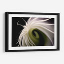 Flor Caracol - Juliana Estrada | Cuadro decorativo de Canvas Lab