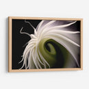 Flor Caracol - Juliana Estrada | Cuadro decorativo de Canvas Lab