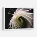 Flor Caracol - Juliana Estrada | Cuadro decorativo de Canvas Lab