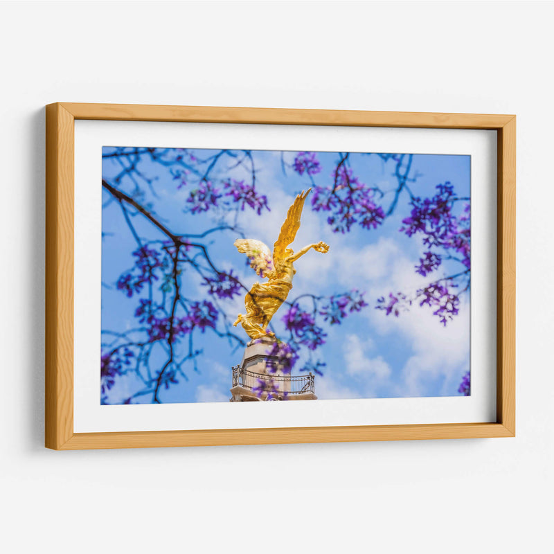Ángel de la Independencia entre flores de jacaranda - Guillermo Aparicio | Cuadro decorativo de Canvas Lab