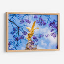 Ángel de la Independencia entre flores de jacaranda - Guillermo Aparicio | Cuadro decorativo de Canvas Lab