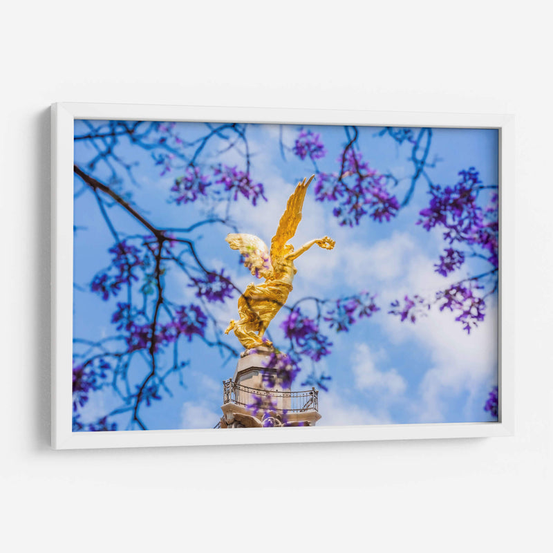 Ángel de la Independencia entre flores de jacaranda - Guillermo Aparicio | Cuadro decorativo de Canvas Lab