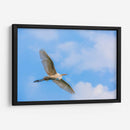 Garza Blanca - Guillermo Aparicio | Cuadro decorativo de Canvas Lab