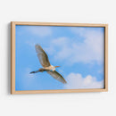 Garza Blanca - Guillermo Aparicio | Cuadro decorativo de Canvas Lab