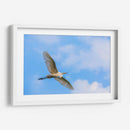 Garza Blanca - Guillermo Aparicio | Cuadro decorativo de Canvas Lab