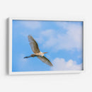 Garza Blanca - Guillermo Aparicio | Cuadro decorativo de Canvas Lab