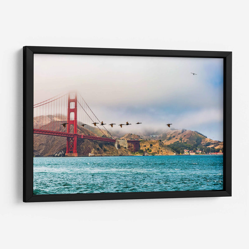 Parvada de gansos frente al Puente Golden Gate - Guillermo Aparicio | Cuadro decorativo de Canvas Lab