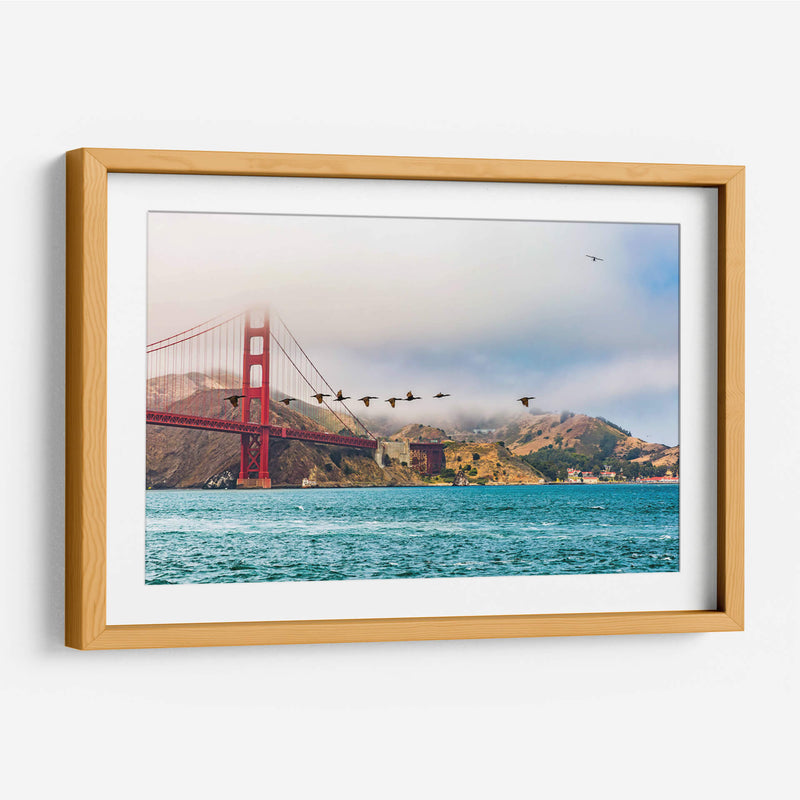 Parvada de gansos frente al Puente Golden Gate - Guillermo Aparicio | Cuadro decorativo de Canvas Lab