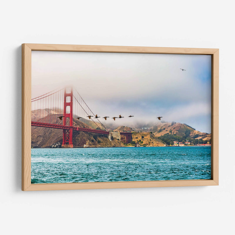 Parvada de gansos frente al Puente Golden Gate - Guillermo Aparicio | Cuadro decorativo de Canvas Lab