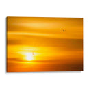 Gaviotas al atardecer - Guillermo Aparicio | Cuadro decorativo de Canvas Lab