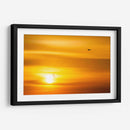 Gaviotas al atardecer - Guillermo Aparicio | Cuadro decorativo de Canvas Lab