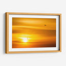 Gaviotas al atardecer - Guillermo Aparicio | Cuadro decorativo de Canvas Lab