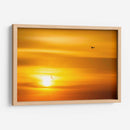 Gaviotas al atardecer - Guillermo Aparicio | Cuadro decorativo de Canvas Lab