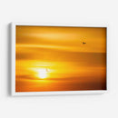 Gaviotas al atardecer - Guillermo Aparicio | Cuadro decorativo de Canvas Lab