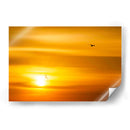 Gaviotas al atardecer - Guillermo Aparicio | Cuadro decorativo de Canvas Lab