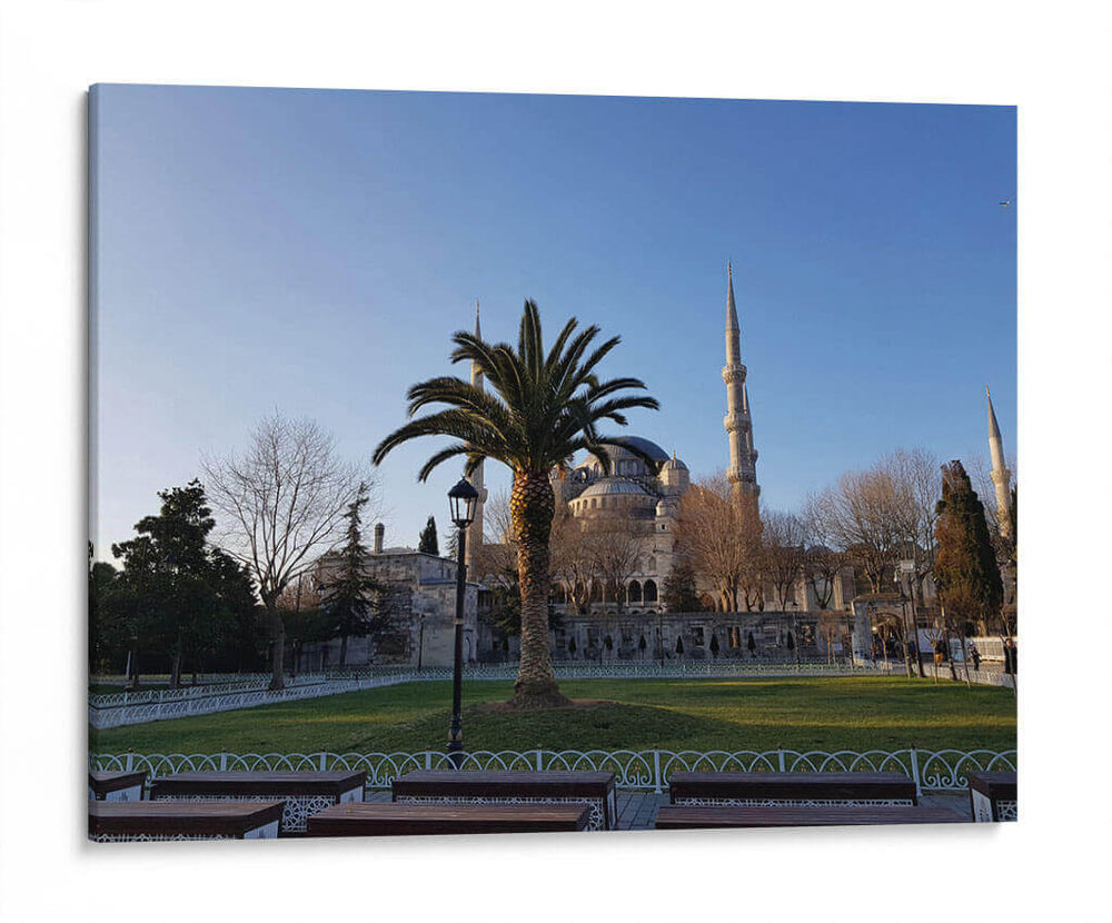 Mezquita detrás de una palmera - Anivpaz | Cuadro decorativo de Canvas Lab