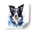 Border Collie Perro con ropa deportiva - Mavel Per | Cuadro decorativo de Canvas Lab