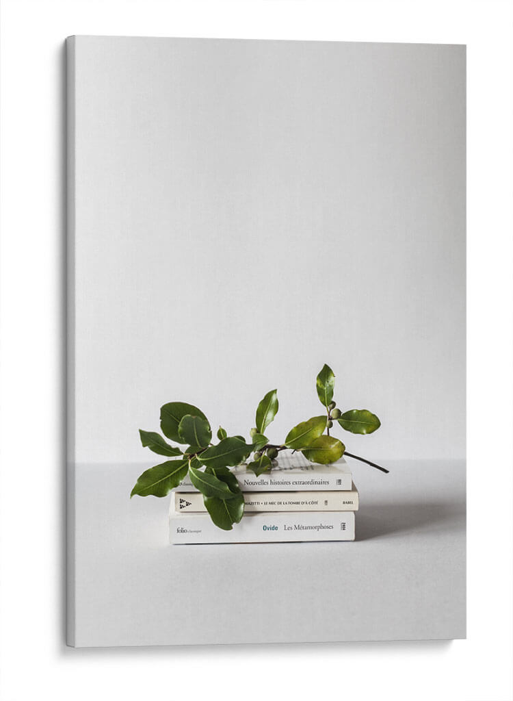 Tres libros y hojas | Cuadro decorativo de Canvas Lab