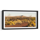 El Pinacate - Rev | Cuadro decorativo de Canvas Lab