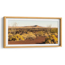 El Pinacate - Rev | Cuadro decorativo de Canvas Lab