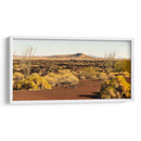 El Pinacate - Rev | Cuadro decorativo de Canvas Lab